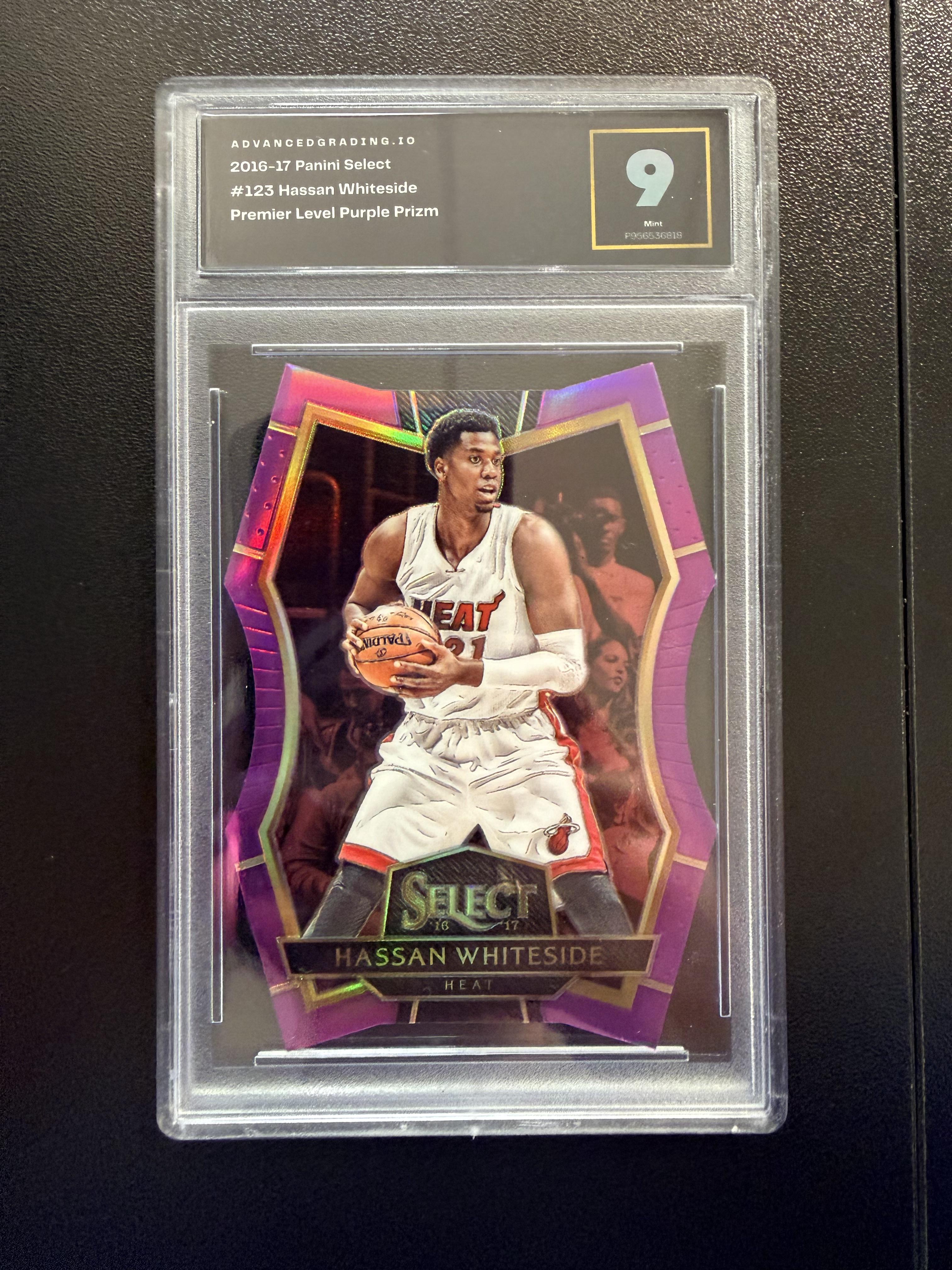 Panini Select Hassan Whiteside #123