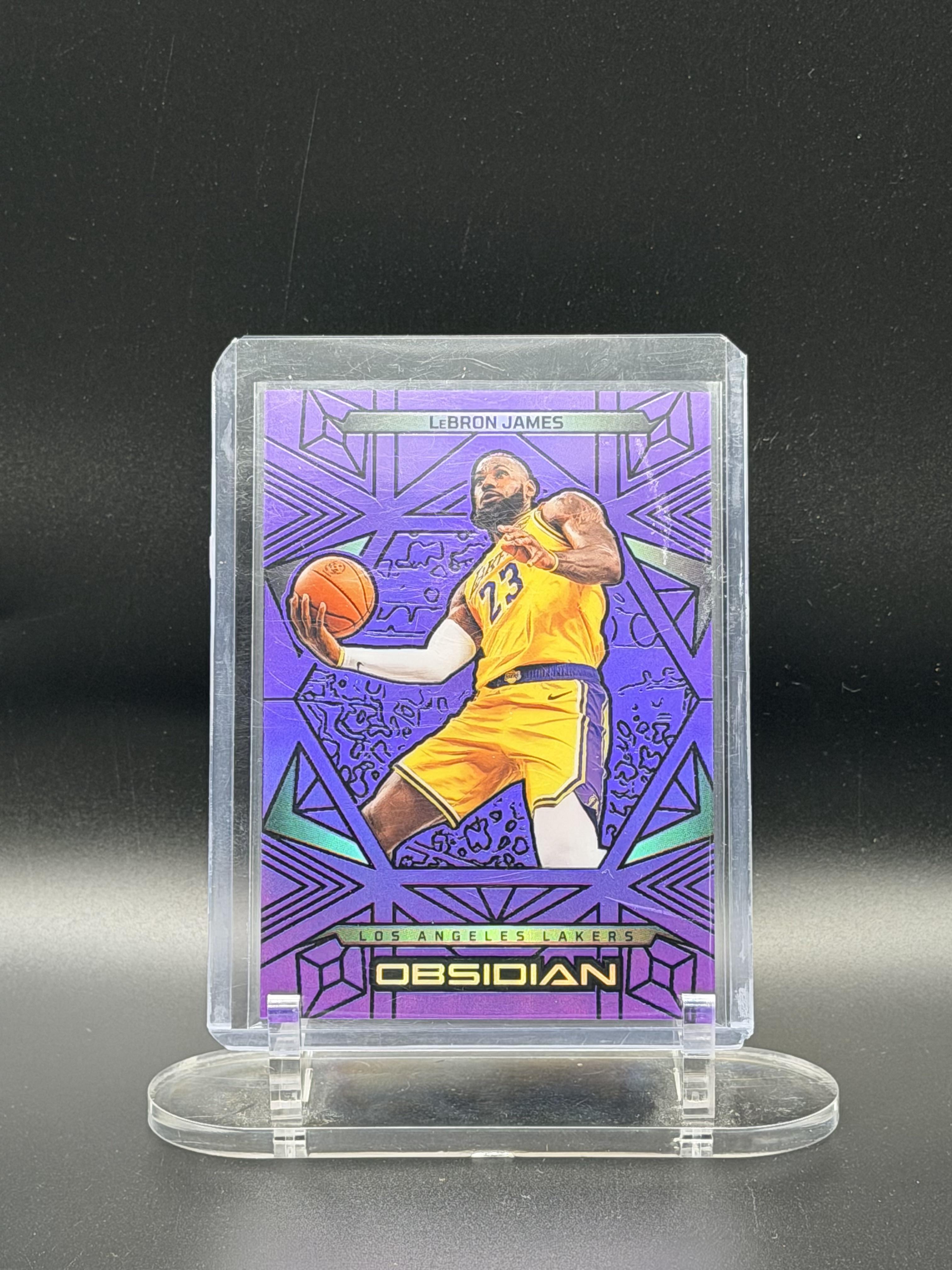 Panini 2025 Panini Obsidan LeBron James Purple Color Match #39