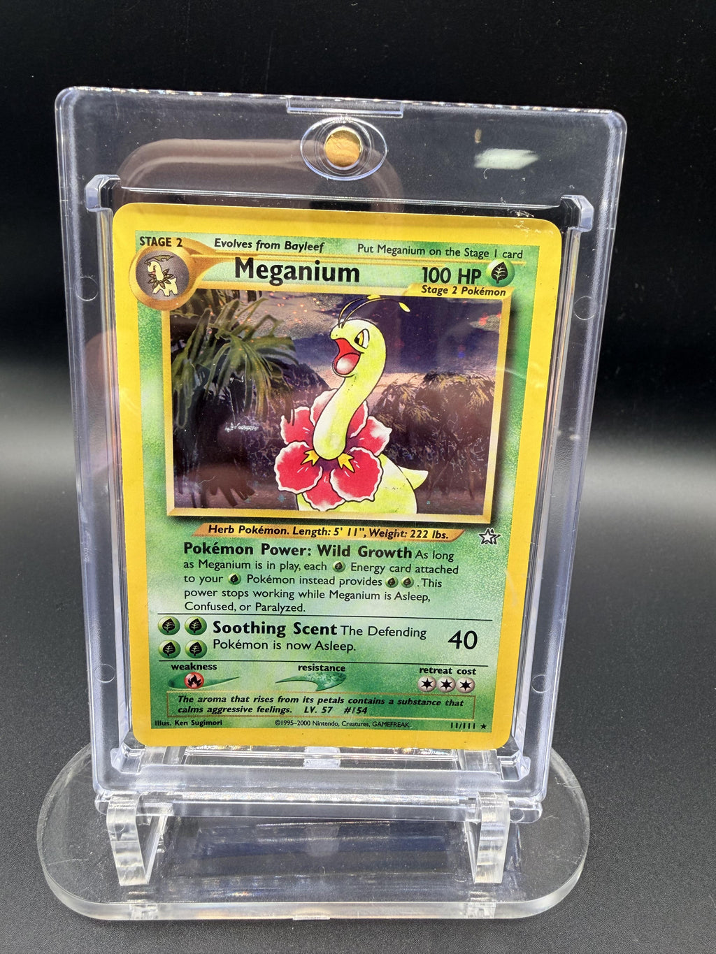 Neo Genesis Halo Meganium