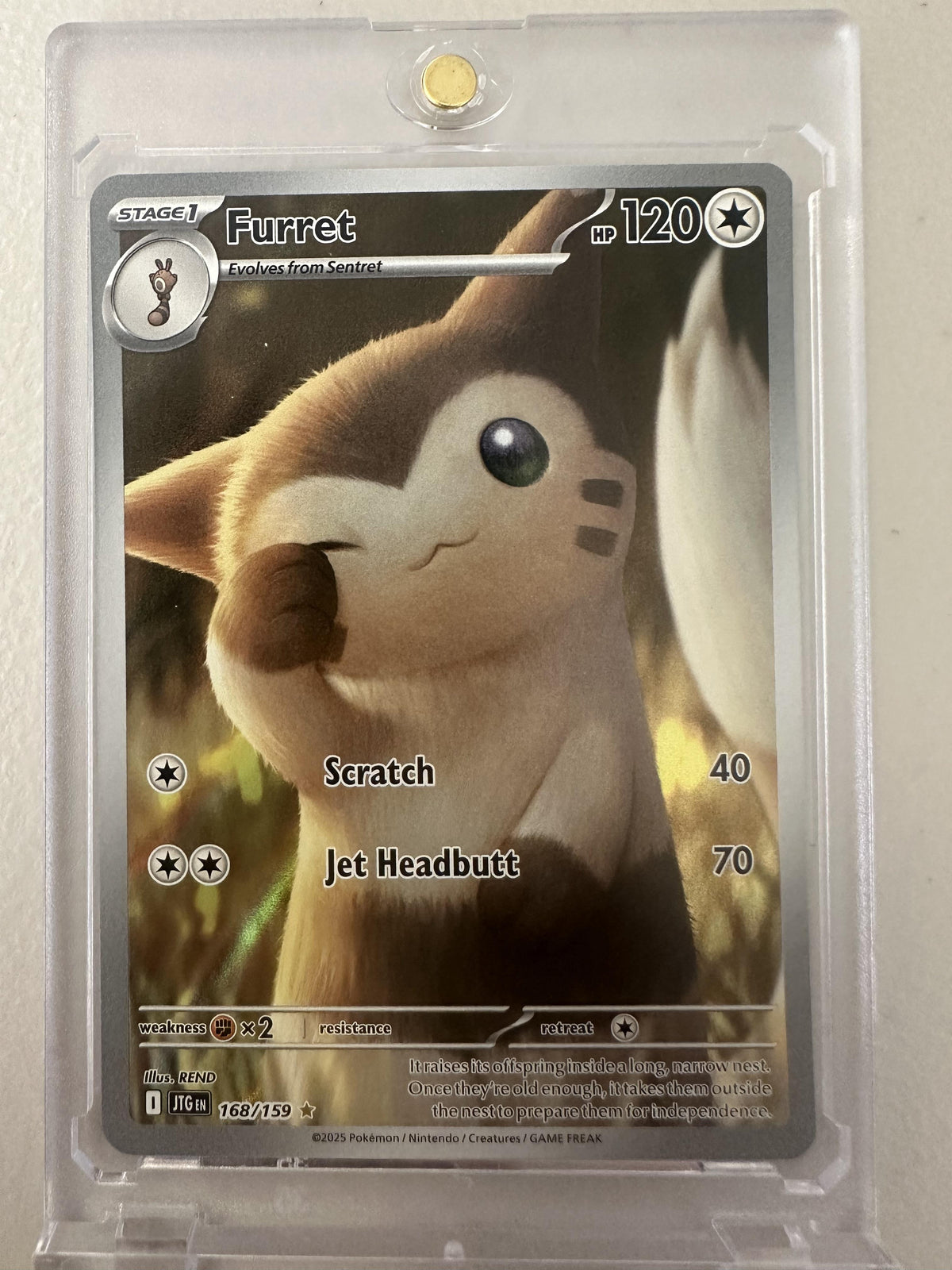 SV09: Journey Together #168/159 Furret