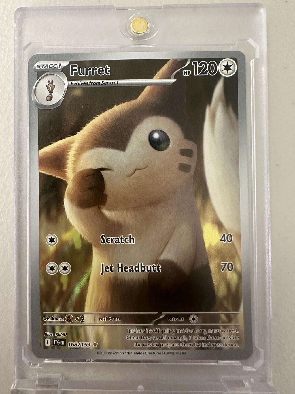 SV09: Journey Together #168/159 Furret