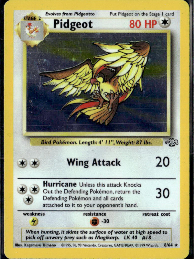 Jungle #08/64 Pidgeot (8)