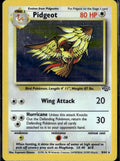 Jungle #08/64 Pidgeot (8)