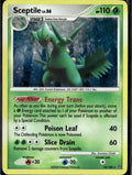 Stormfront #10/100 Sceptile