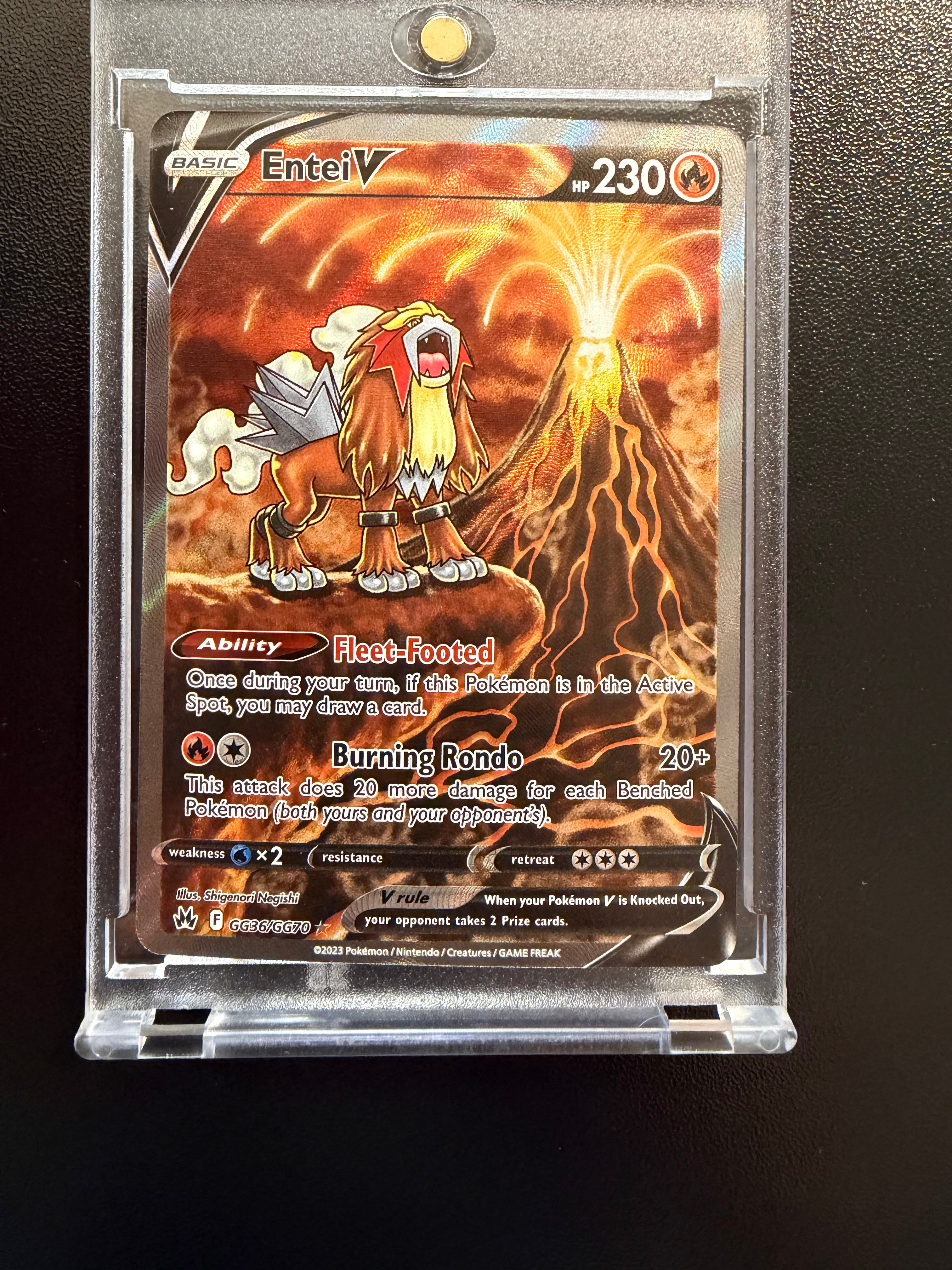 Entei V